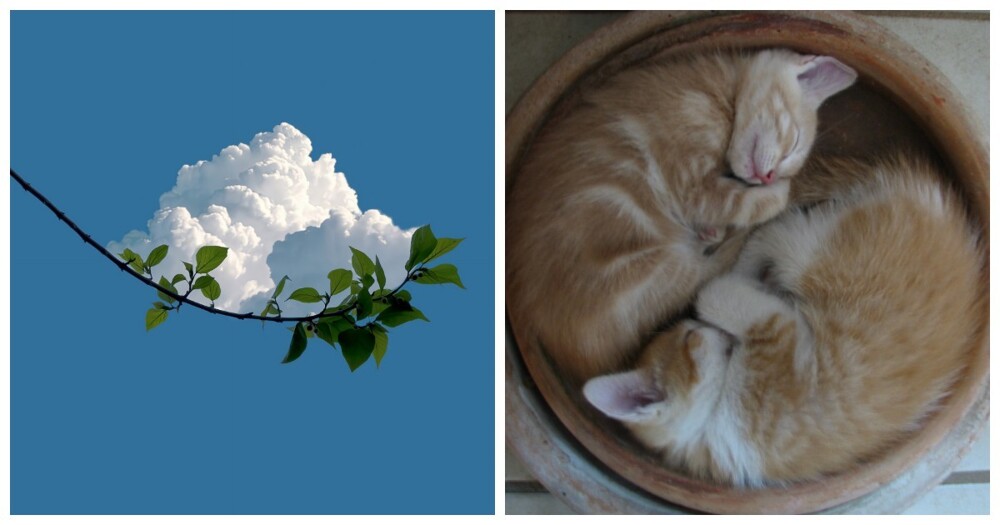 20 примеров безупречной гармонии, превратившейся в искусство