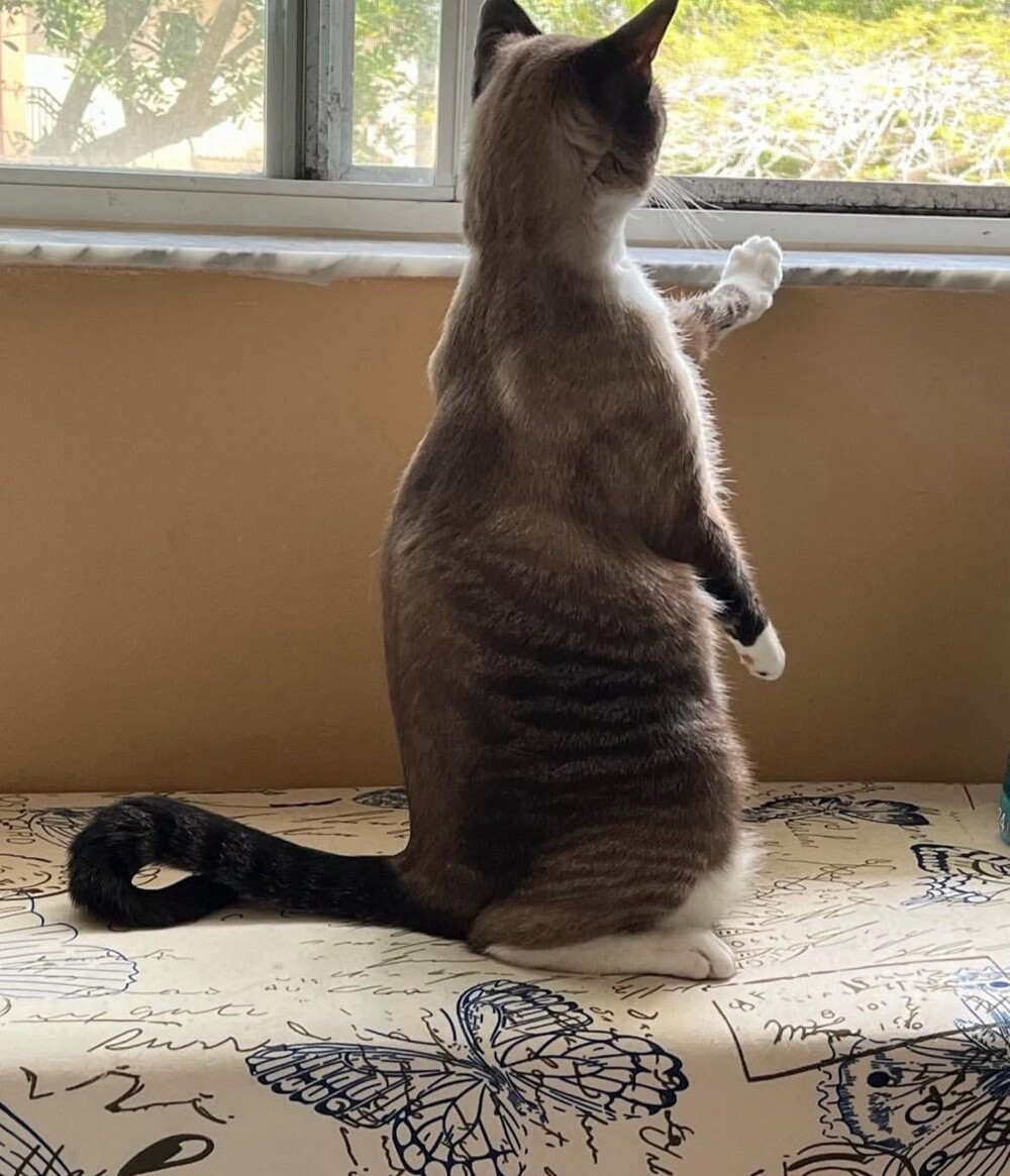 20. Что это там чёрное белеет?