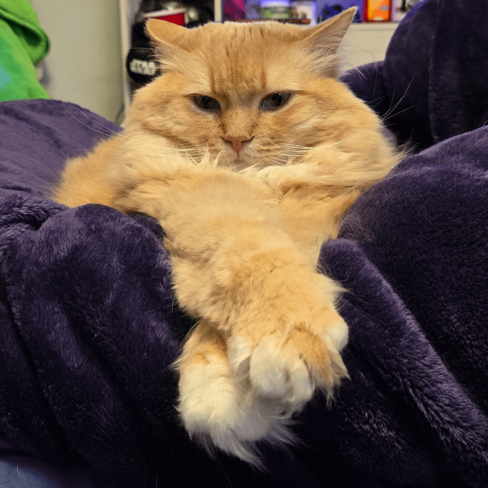 14. Когда ещё не определился с настроением