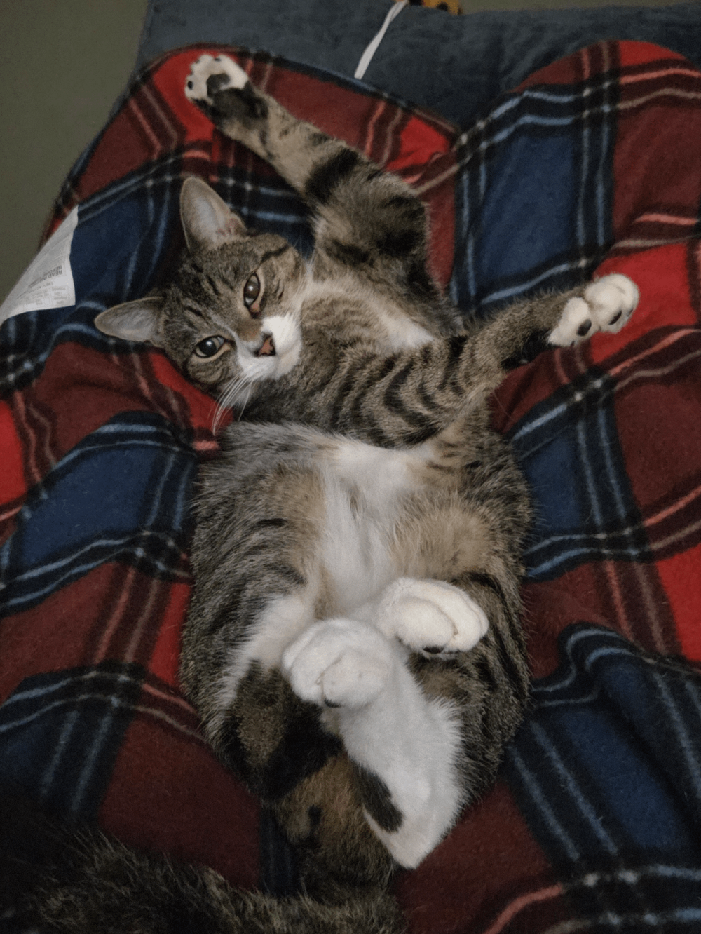 9. Навертелось