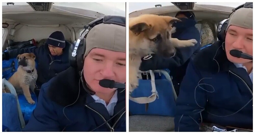 Пилот из ХМАО отправил своего щенка в невесомость
