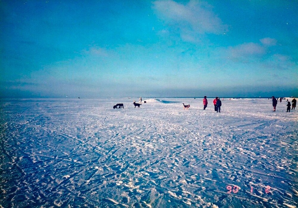 У гостиницы "Прибалтийская". Сейчас здесь кварталы намыва.