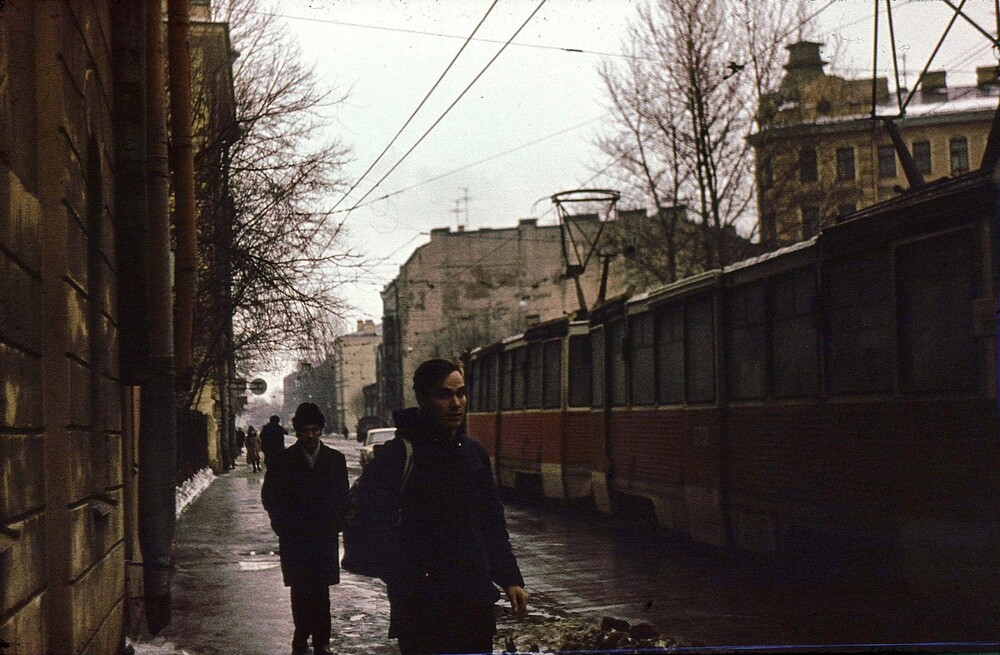 Поздняя осень на улице Моисеенко.
