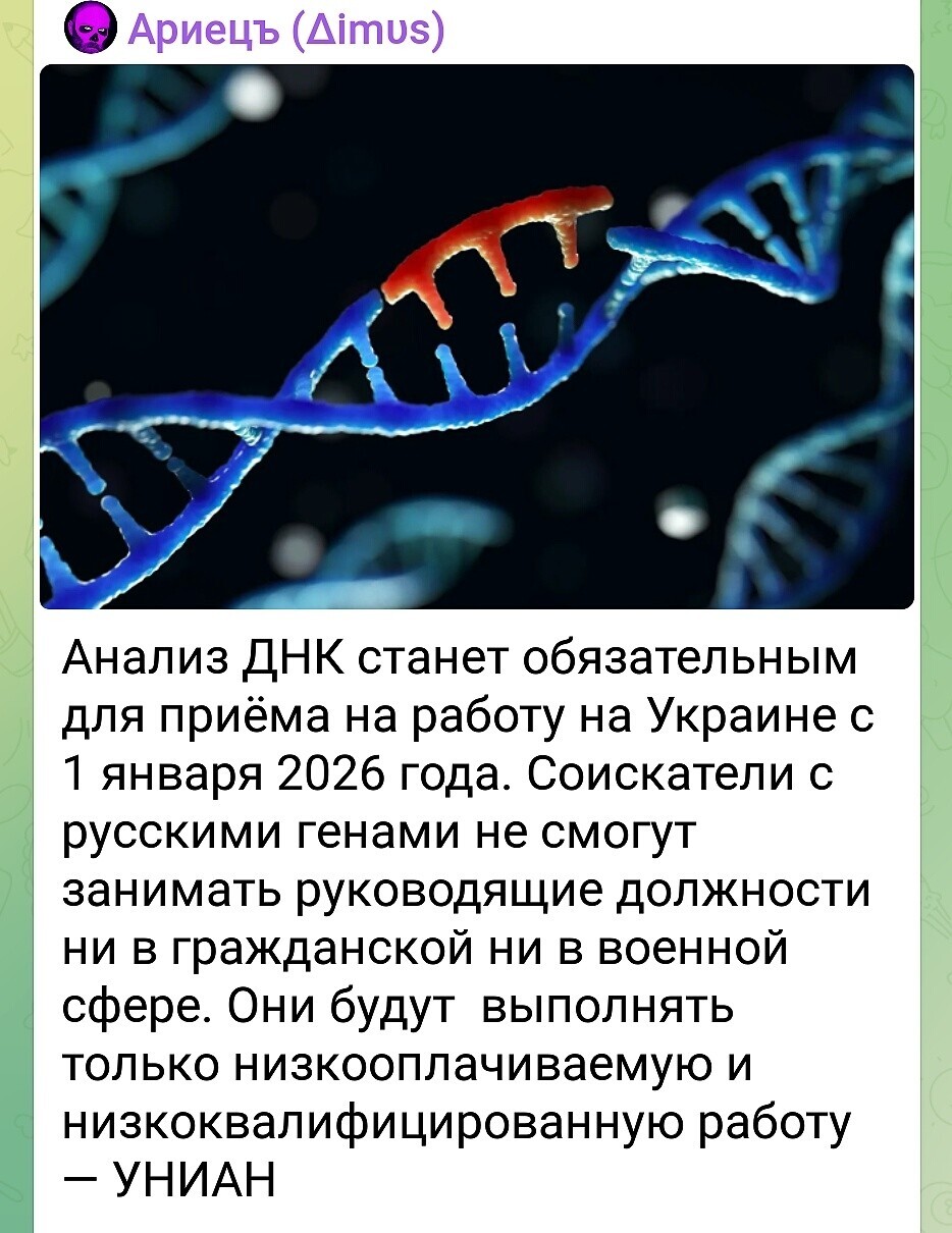 Всё по заветам третьего рейха