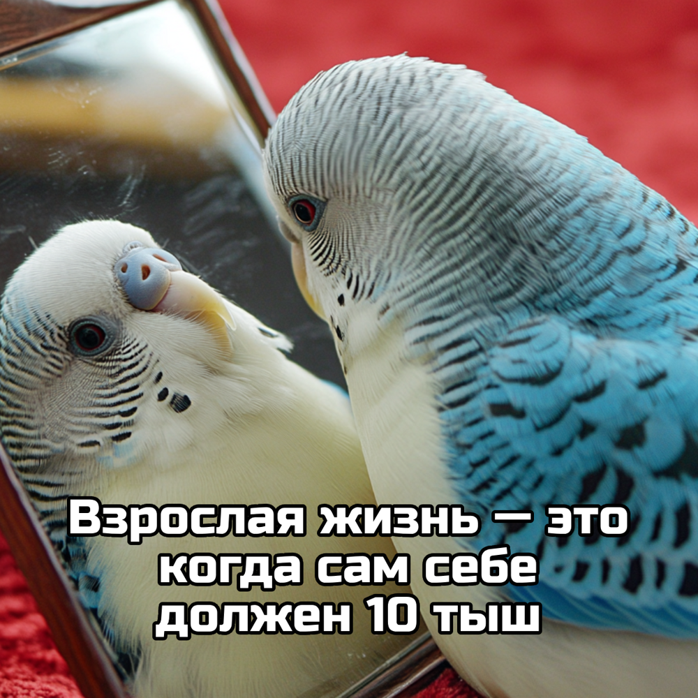 Грустная и веселая подборка