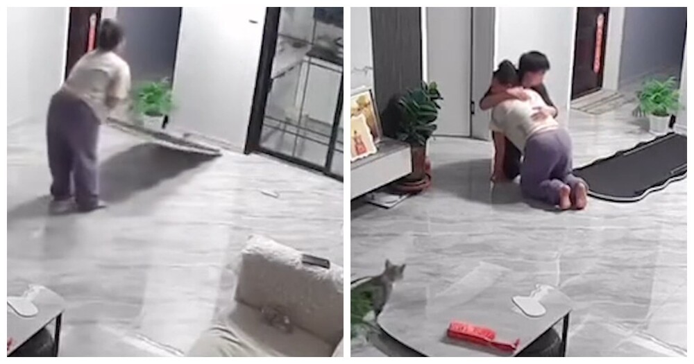 Беременная женщина пострадала из-за падения зеркала, опрокинутого котом