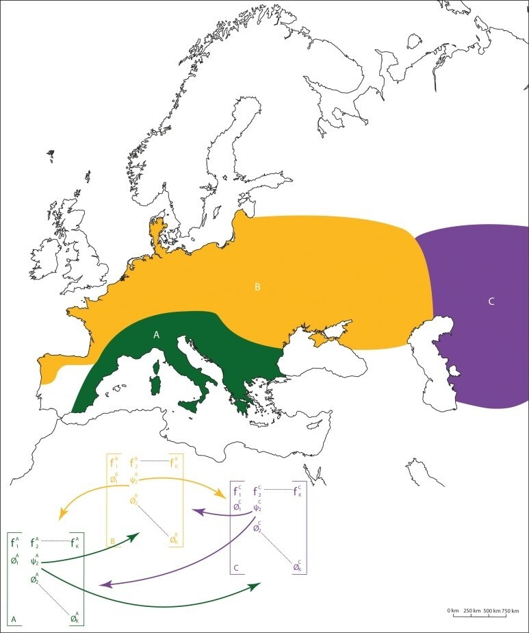 Три изолированные популяции неандертальцев