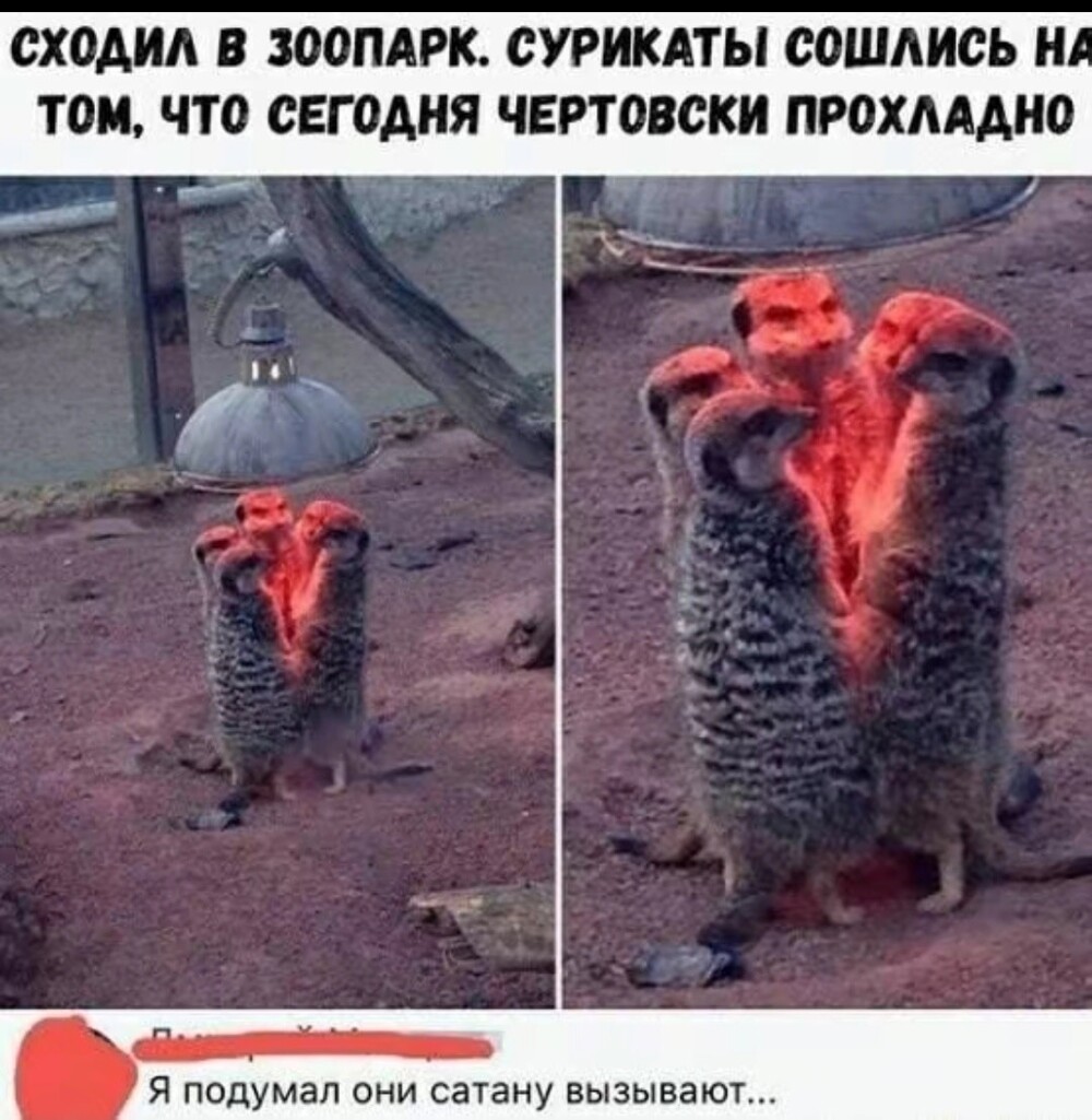 Большая миска улыбатора