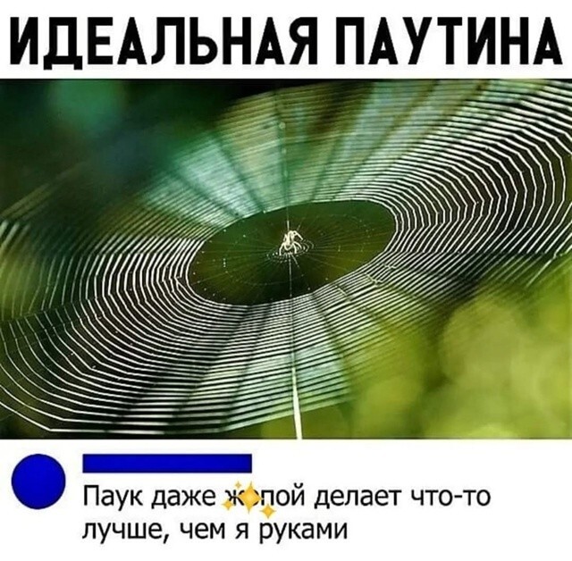 Большая миска улыбатора