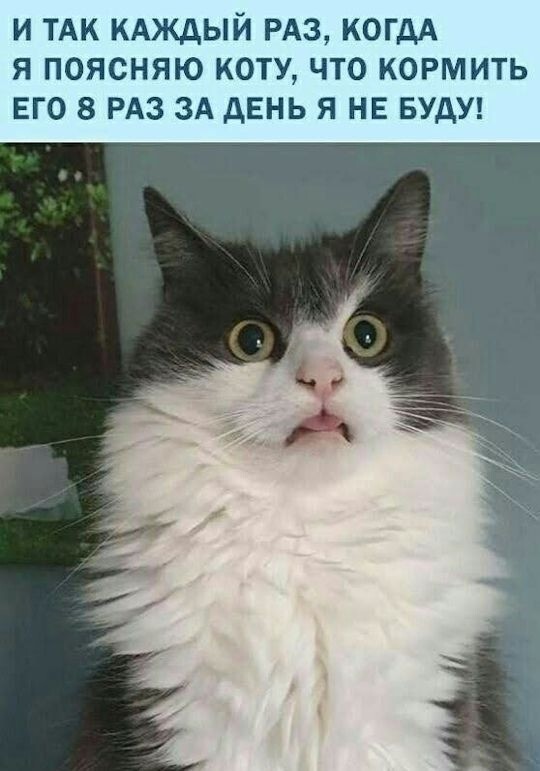 Большая миска улыбатора