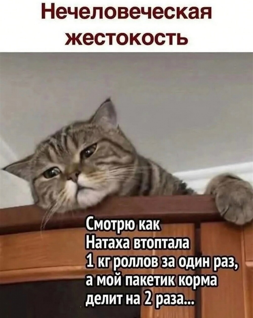 Большая миска улыбатора