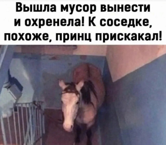 Большая миска улыбатора