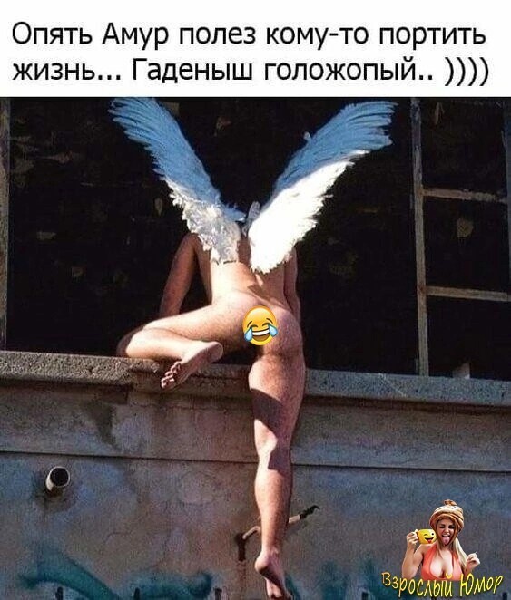 Большая миска улыбатора