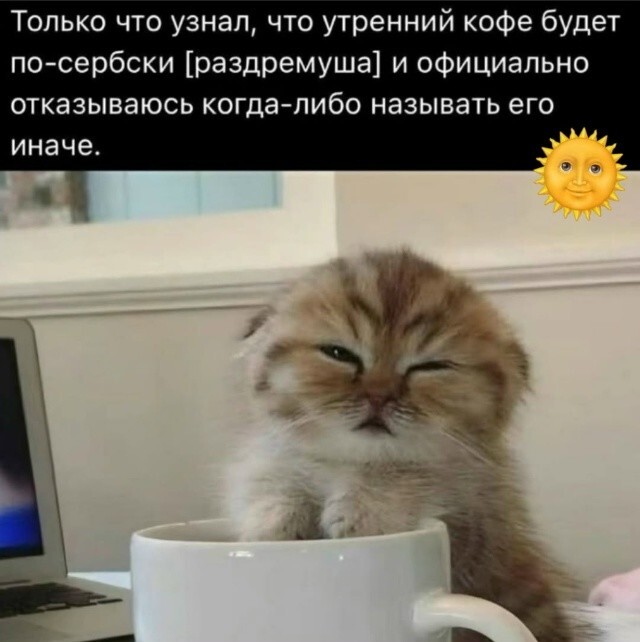 Большая миска улыбатора