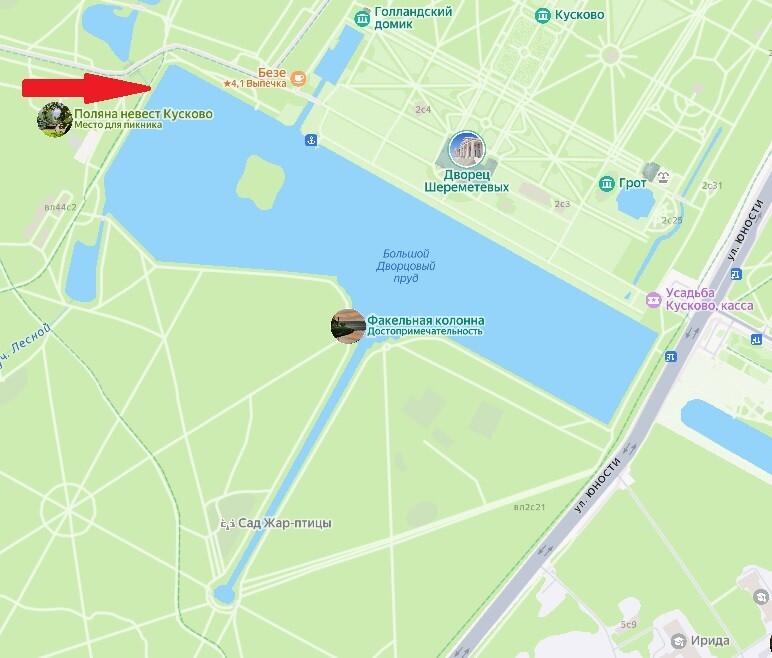 В момент появления утки, в указанном месте пропала мобильная связь, и заглох двигатель проезжавшего мимо автомобиля... Показалось? Совпадение? Случайность?