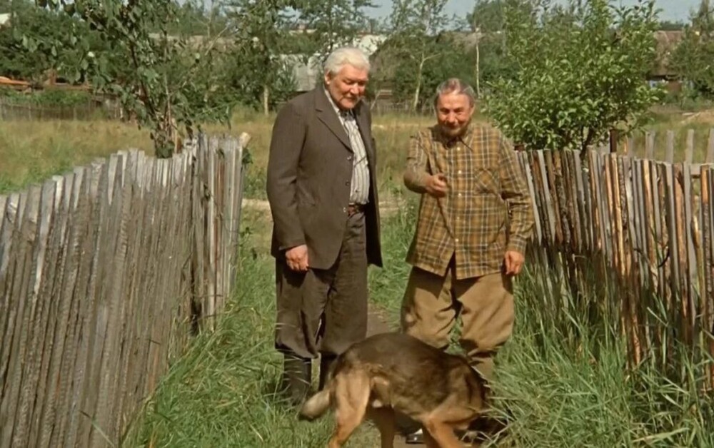 «Белые росы» 