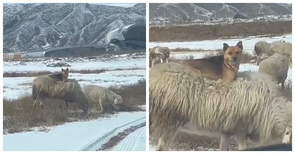 Минимум усилий — максимум контроля