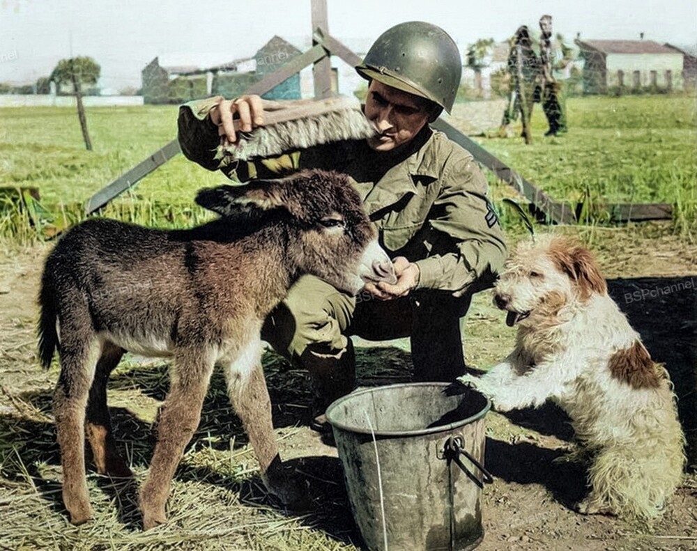 Редкие и интересные фотоматериалы с фронтов Второй Мировой Войны