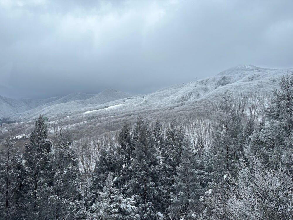 Джухё – ледяные призрачные стражи горы Дзао