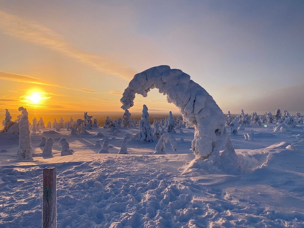 Джухё – ледяные призрачные стражи горы Дзао