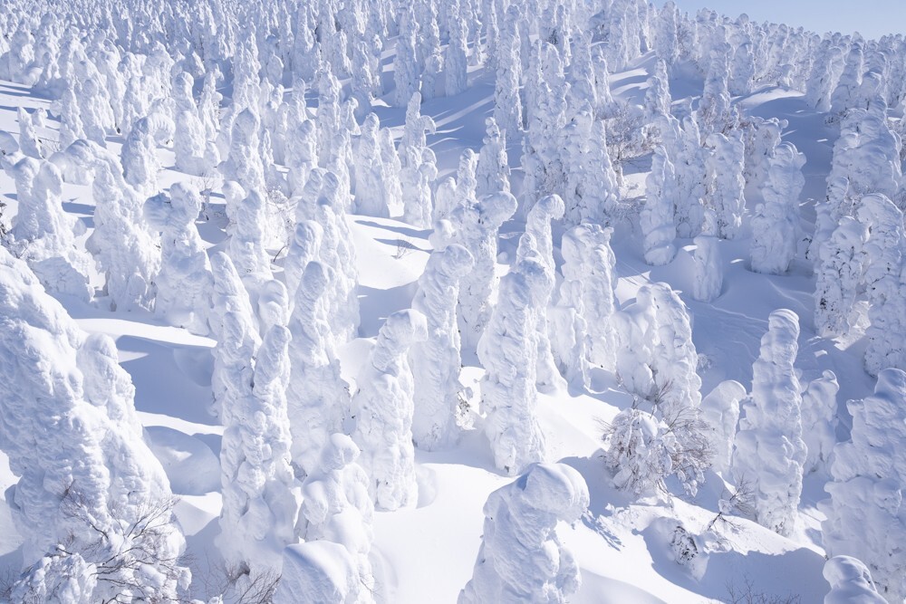 Джухё – ледяные призрачные стражи горы Дзао