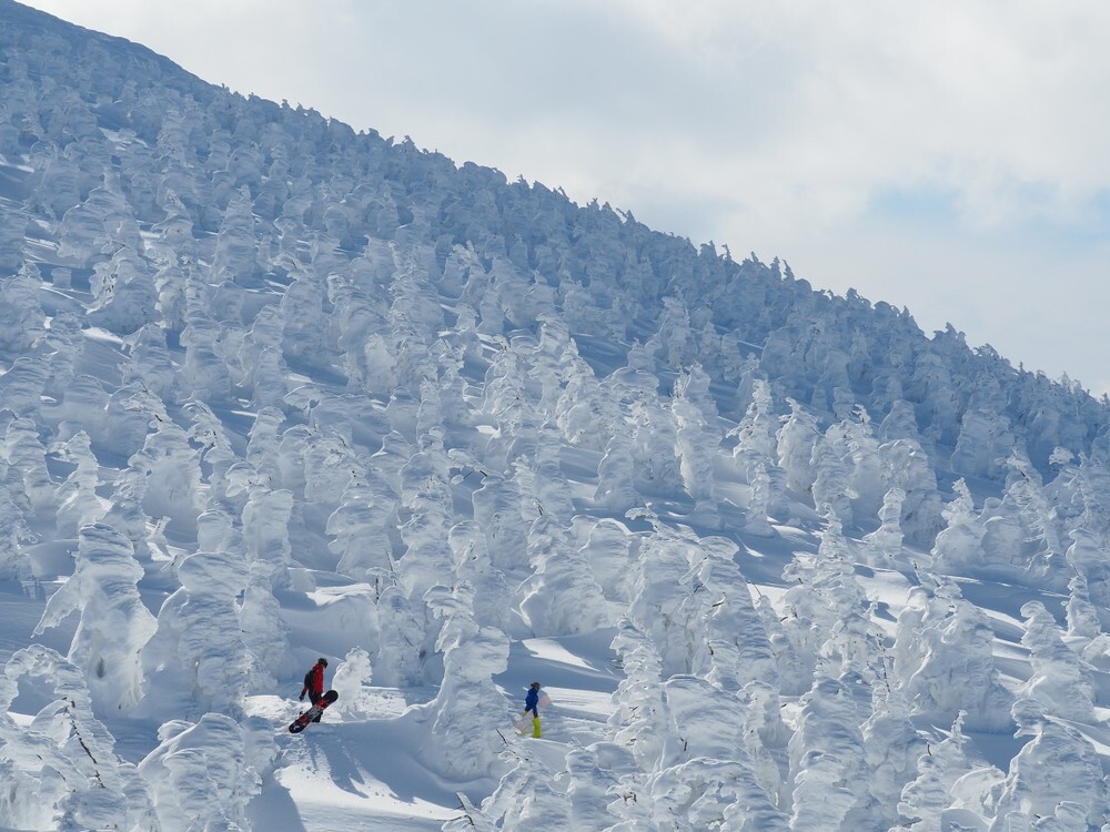 Джухё – ледяные призрачные стражи горы Дзао