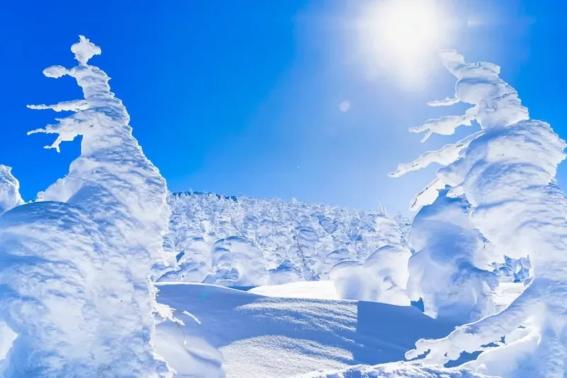 Джухё – ледяные призрачные стражи горы Дзао