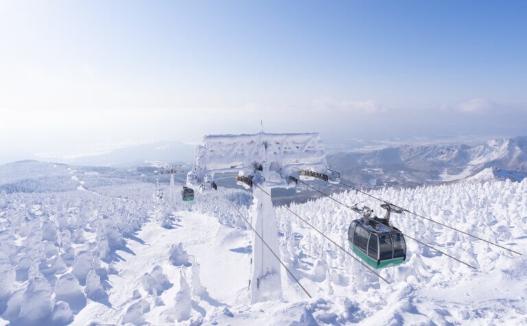 Джухё – ледяные призрачные стражи горы Дзао