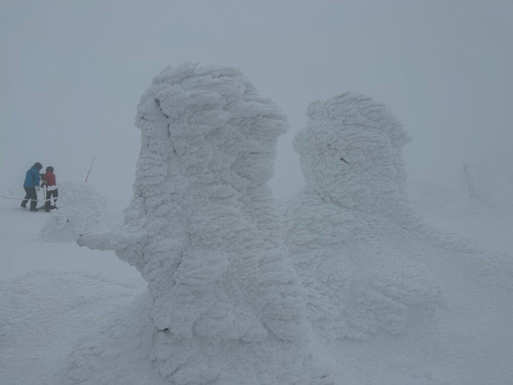 Джухё – ледяные призрачные стражи горы Дзао