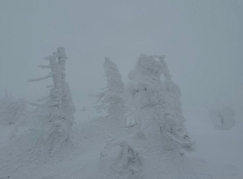 Джухё – ледяные призрачные стражи горы Дзао