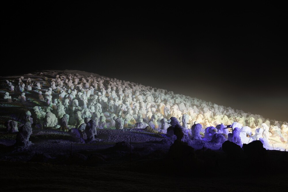 Джухё – ледяные призрачные стражи горы Дзао