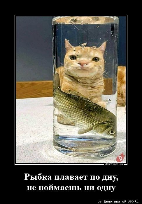 Рыбка плавает по дну, не поймаешь ни одну