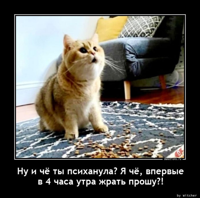 Ну и чё ты психанула?