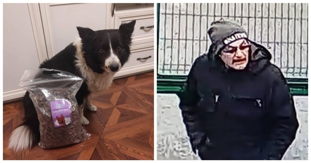 Задержан мужчина, подозреваемый в многолетних кражах собак