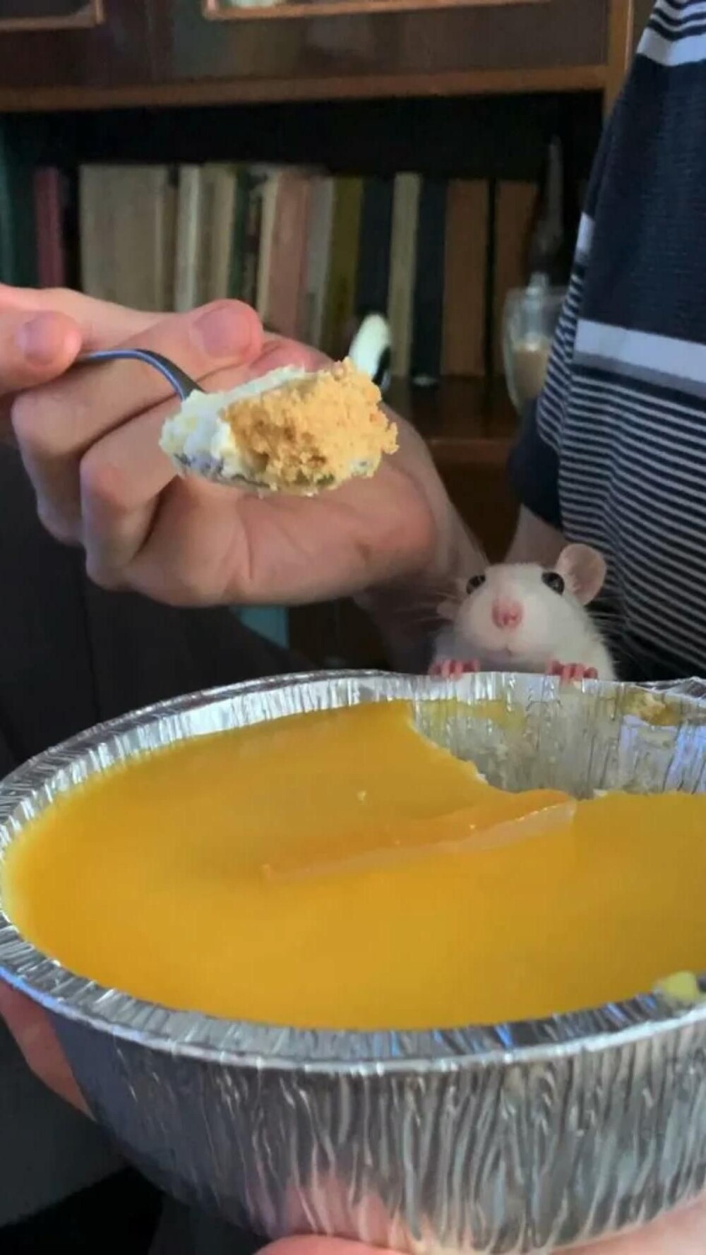 20. Мечты сбываются