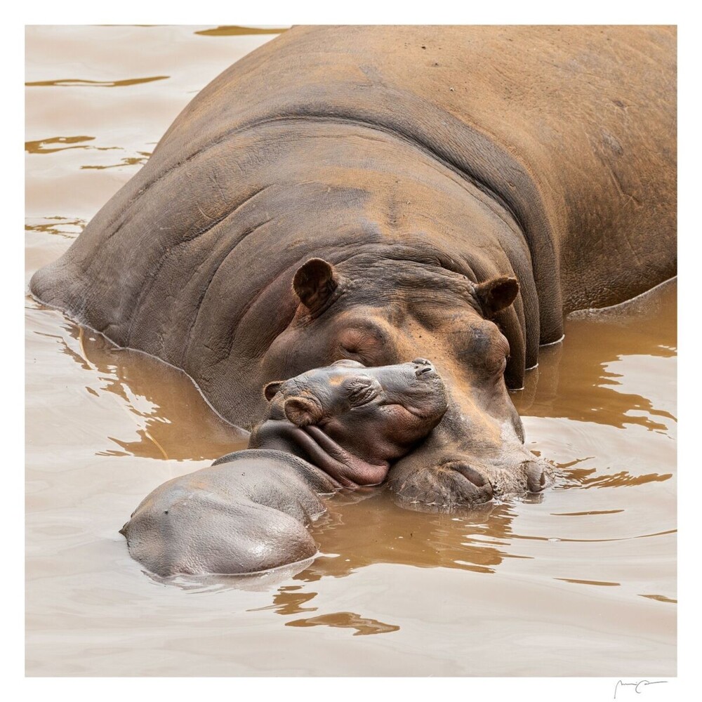 1. Мамина радость