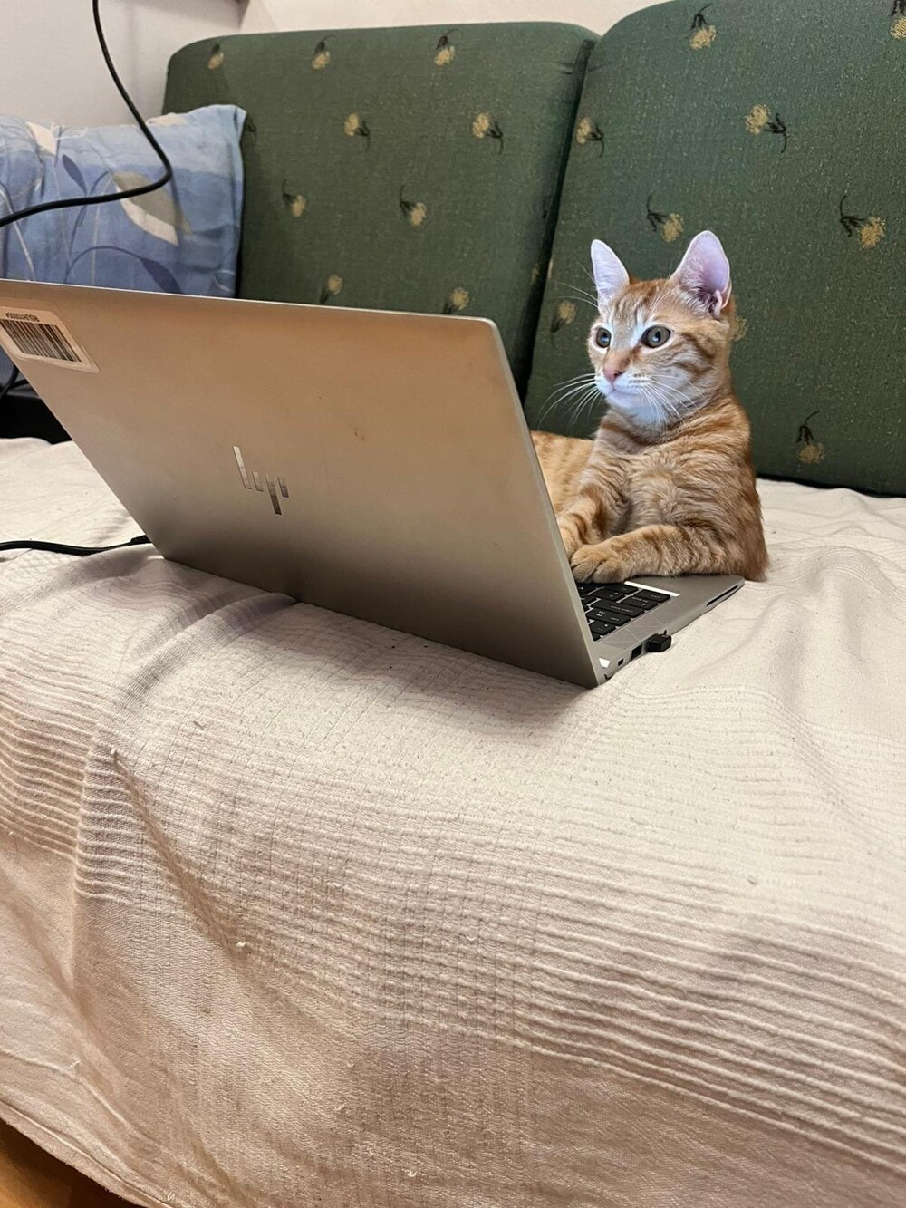 7. Не отвлекать