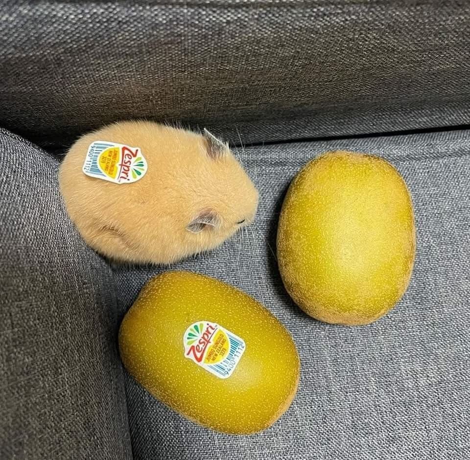 30. Найдите 10 отличий