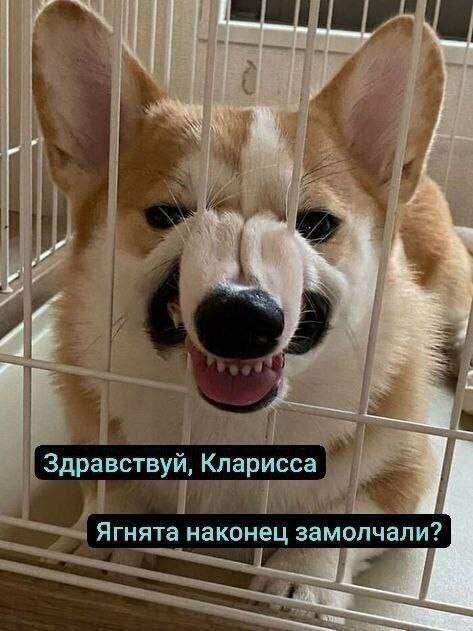 5. "Ганнибал" в Зверополисе