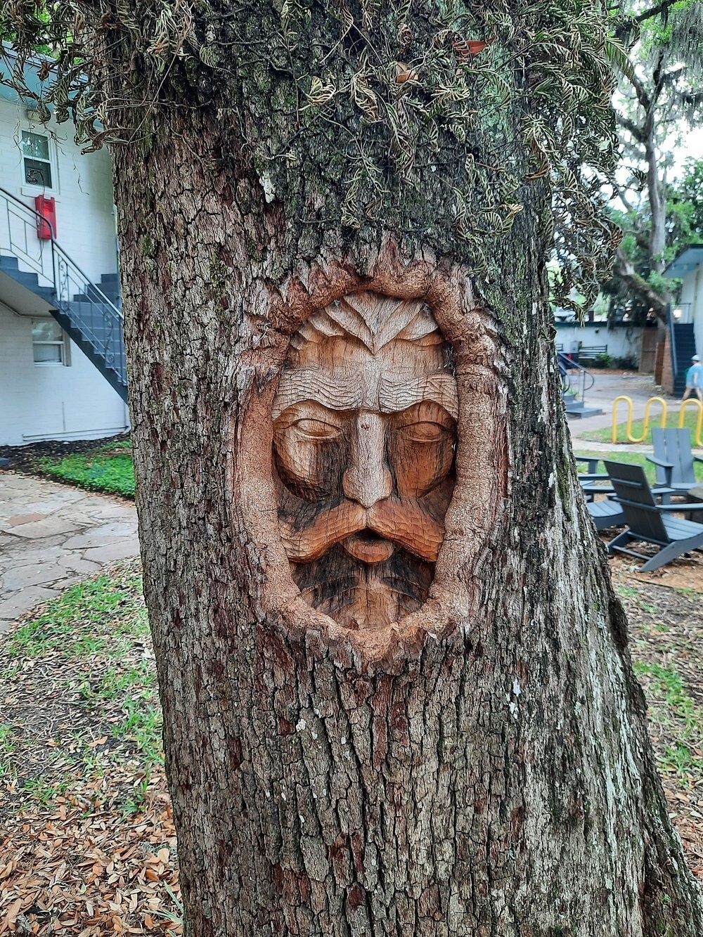 Духи деревьев острова Сейнт-Саймонс