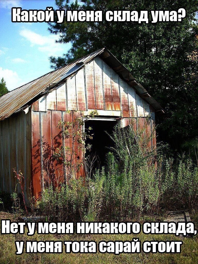 8. Интересно, на фото математический или гуманитарный сарай ума?