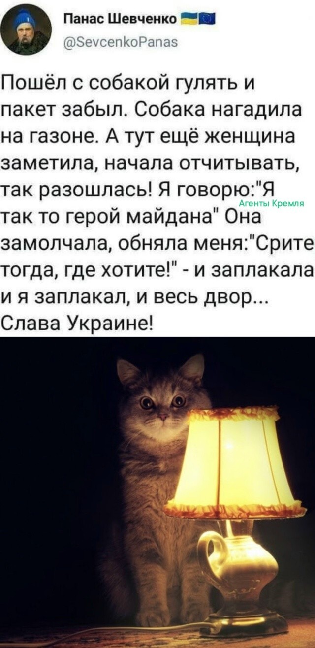 Политическая рубрика от NAZARETH за 12.11.25. Новости, события, комментарии - 1929