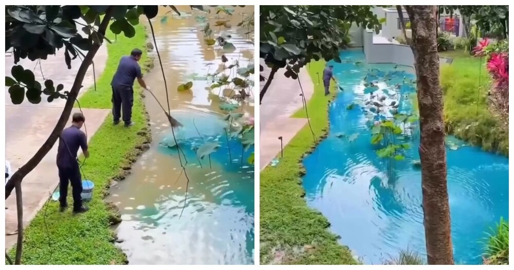 Вода цвета мечты: как пруды на курортах становятся идеальными