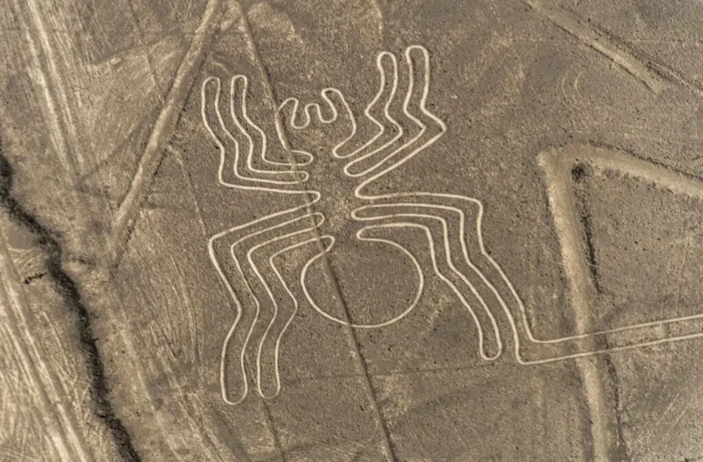 5 необычных и странных находок со дна Аральского моря, появившихся после высыхания