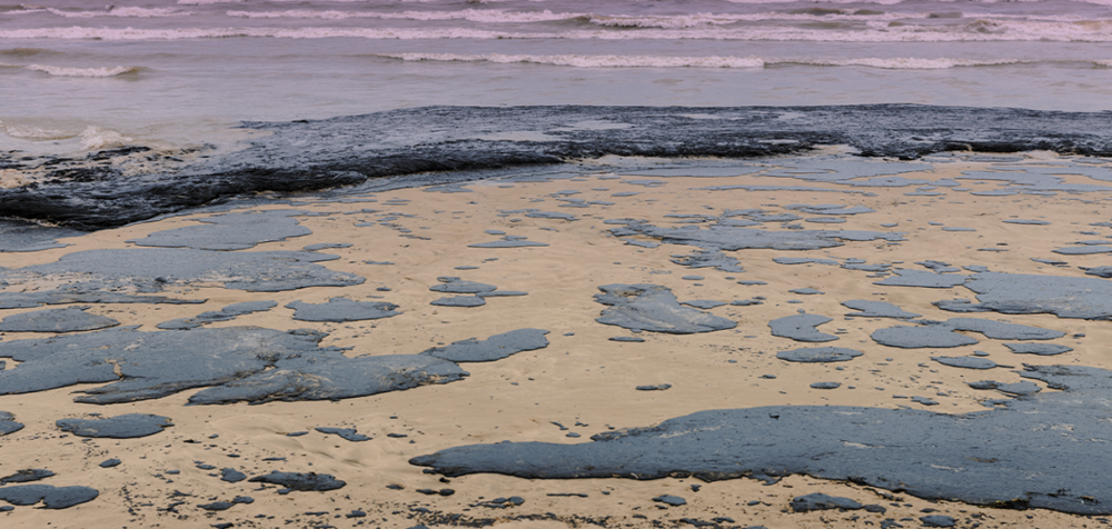 Что убивает жизнь в глубинах Чёрного моря: почему рыбы здесь не живут глубже 150 метров