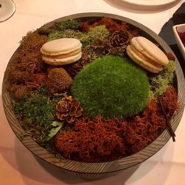 7. Десерт на лужайке