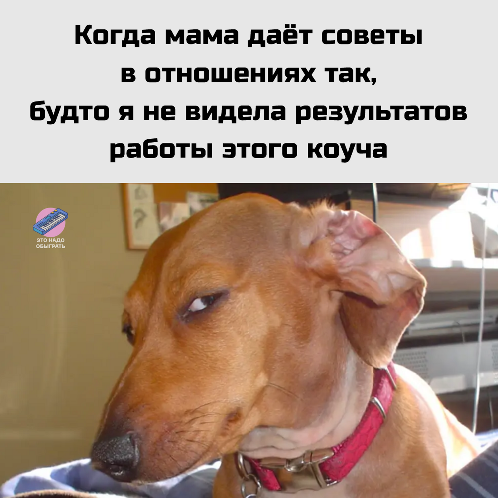 Подборка про мам, бабушек и дом