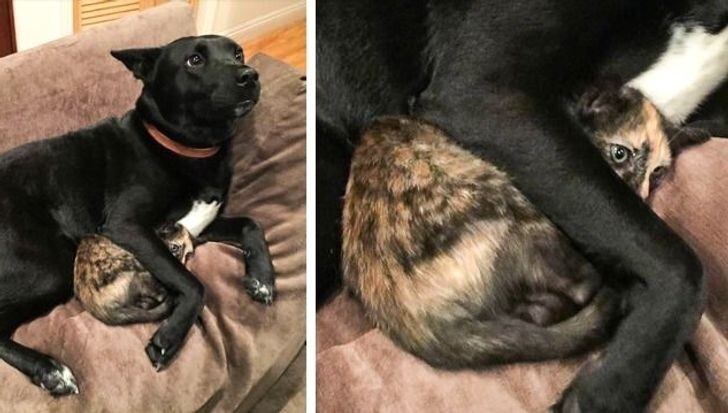 19. Не бойся, я с тобой