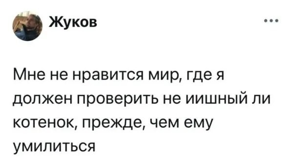 10. Не стесняйтесь умиляться ИИшным котам, но лучше умиляйтесь котам настоящим
