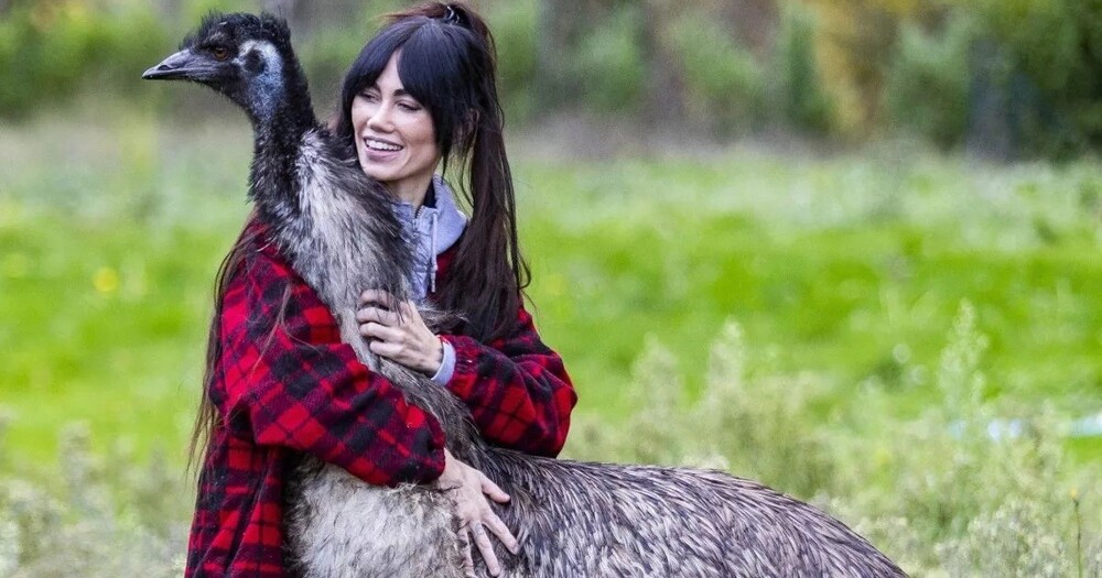 Девушка купила яйцо онлайн и вырастила необычного питомца